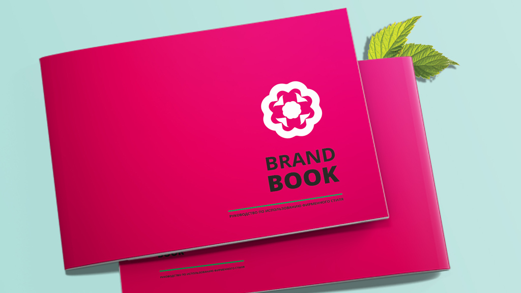 Brandbook concept
